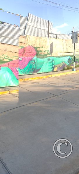 Mural - Jiron Evetamiento Rio Mayo (2)
