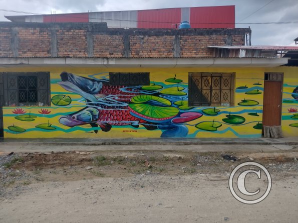 Mural - Jiron Pedro Pascasio Noriega near Jiron Iquitos (5)