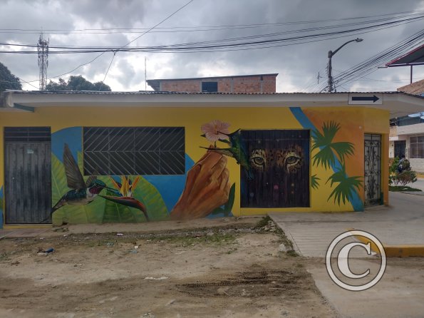 Mural - Jiron Pedro Pascasio Noriega near Jiron Iquitos (6)