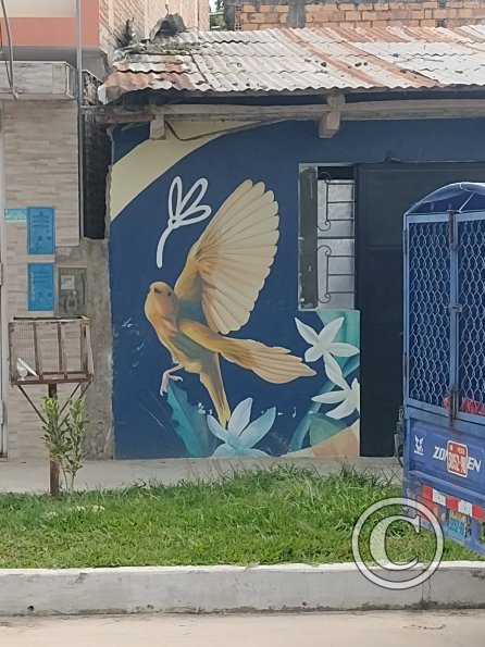Mural - Jiron Pedro Pascasio Noriega near Jiron Piura (3)