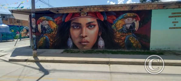 Mural - Jiron Pedro Pascasio Noriega y Jiron Reyes Guerra