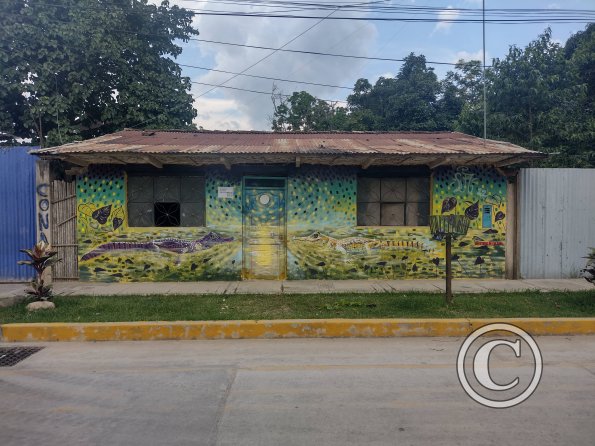 Mural - Jiron Pedro Pascasio Noriega y Jiron Tumbes
