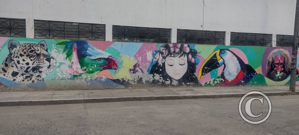 Mural - Jiron Reyes Guerra near Jiron 2 de Mayo