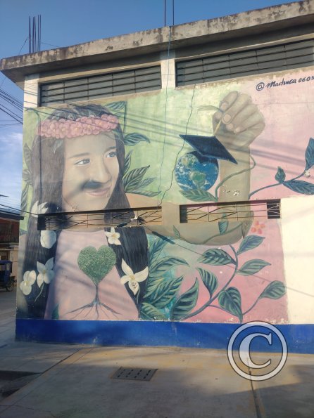 Mural - Jiron Reyes Guerra y Jiron 2 de Mayo (2)