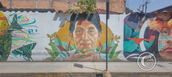Mural - Jiron San Martin y Jiron Callao (2)
