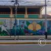 Mural - Jiron Serafin Filomeno y Jiron Varacadillo (4)