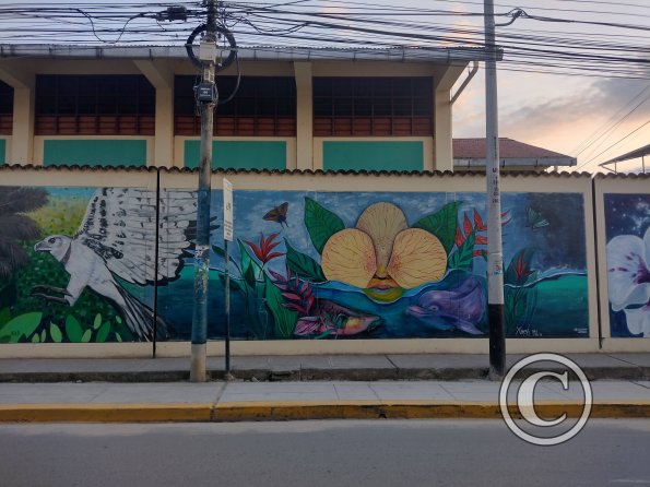 Mural - Jiron Serafin Filomeno y Jiron Varacadillo (4)