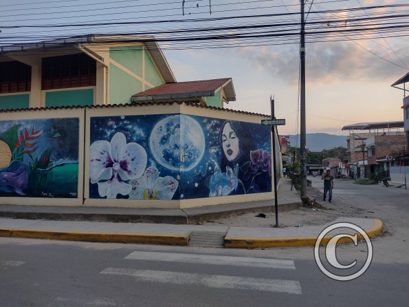 Mural - Jiron Serafin Filomeno y Jiron Varacadillo (5)