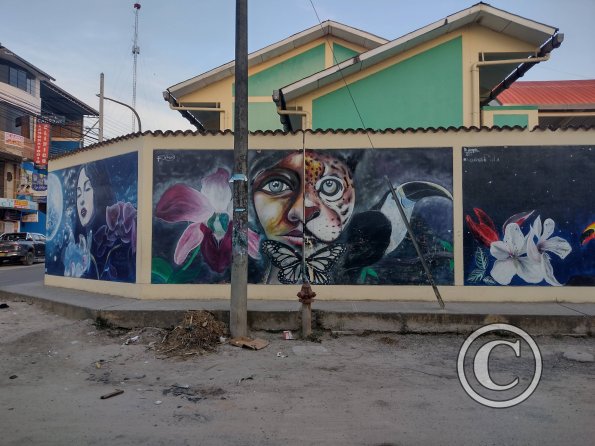 Mural - Jiron Serafin Filomeno y Jiron Varacadillo (6)