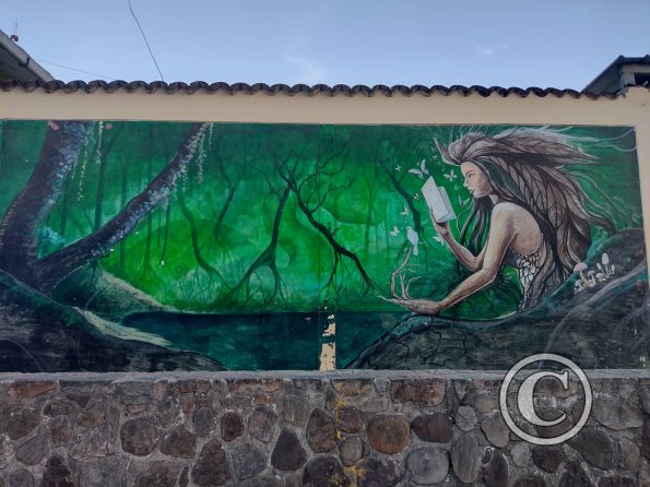 Mural - Jiron Serafin Filomeno y Jiron Varacadillo (8)