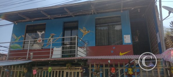 Mural - Pedro Canga near Jiron Pedro Pascasio Noriega (10)