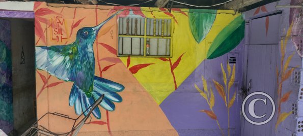 Mural - Pedro Canga near Jiron Pedro Pascasio Noriega (11)
