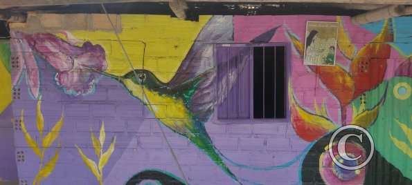 Mural - Pedro Canga near Jiron Pedro Pascasio Noriega (12)
