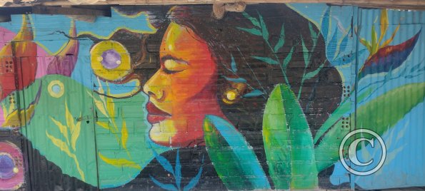 Mural - Pedro Canga near Jiron Pedro Pascasio Noriega (13)