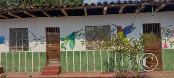 Mural - Pedro Canga near Jiron Pedro Pascasio Noriega (7)