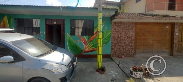 Mural - Pedro Canga near Jiron Pedro Pascasio Noriega