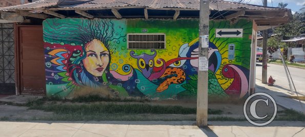 Mural at about Jiron Bolivar y Jiron 20 de Abril