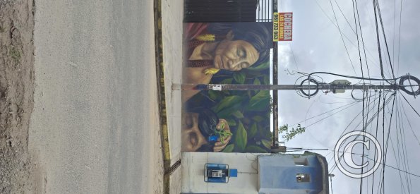 Mural on Jiron Alonso de Alvarado near Jiron Reyes Guerra (2)