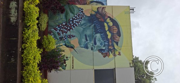 Mural on Jiron Callao and Jiron Pedro Canga (2)