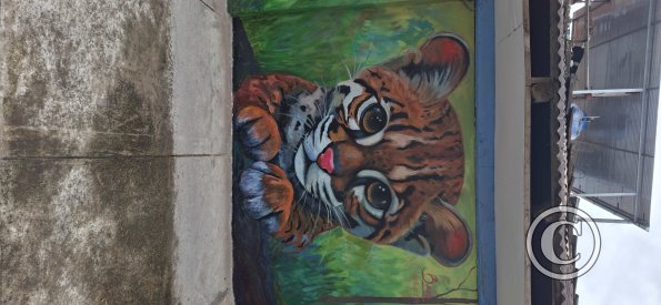 Mural on Jiron Emilio San Martin near Jiron Reyes Guerra (2)