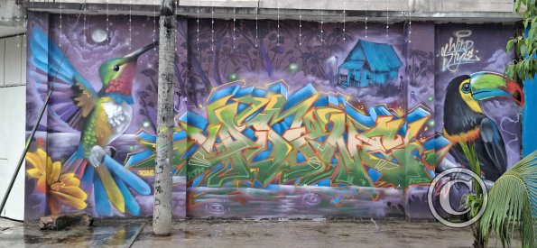 Mural on Jiron Independencia at Jiron Oscar Reyes Benavides