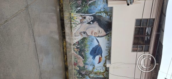 Mural on Jiron Independencia near Jiron Reyes Guerra