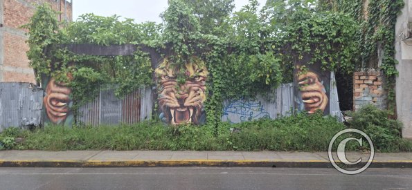Mural on Jiron Reyes Guerra near Jiron 2 de Mayo