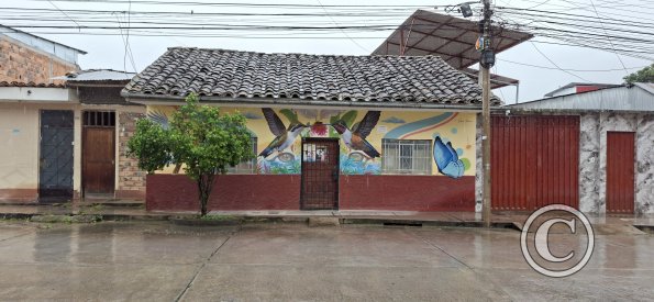Mural on Jiron del Mayo near Jiron Pedro Pascasio Noriega