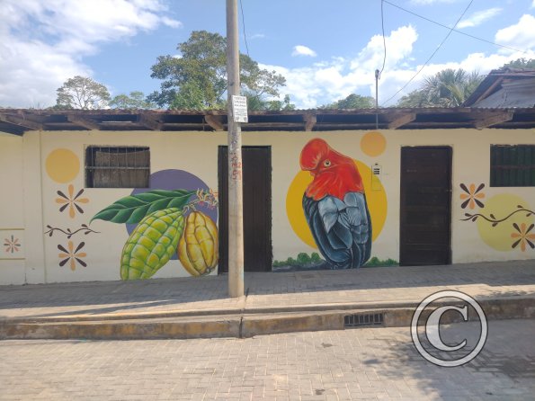 Mural on Via de Evitamiento Tahuishco (10)