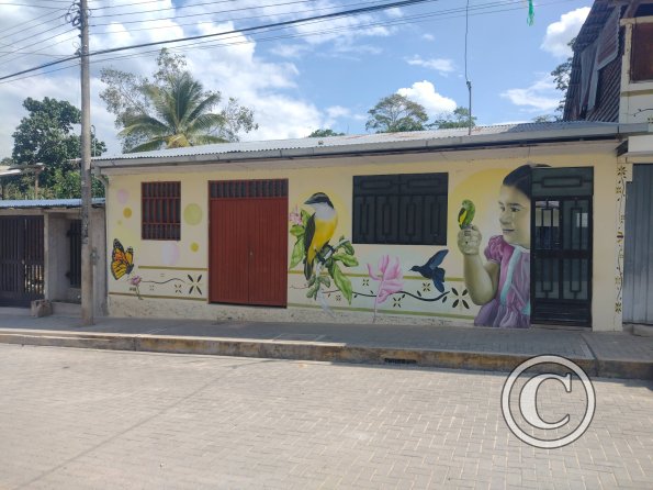 Mural on Via de Evitamiento Tahuishco (15)