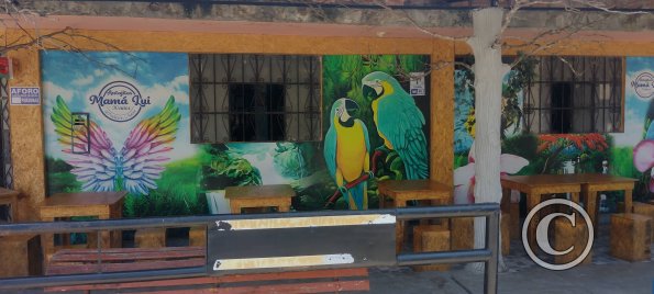 Mural possibly along Jiron Bolivar