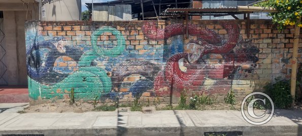 Mural probably on Jiron 20 de Abril around Jiron Bolivar (2)