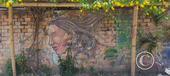 Mural probably on Jiron 20 de Abril around Jiron Bolivar