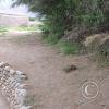 Acueductos de Cantalloc (18)