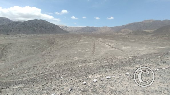 Las Agujas - Reserva (13)