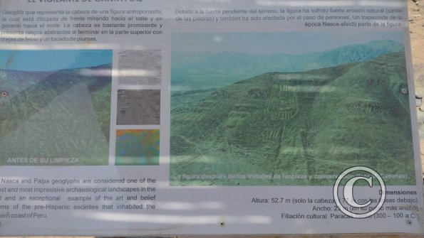 Las Agujas - Reserva (4)