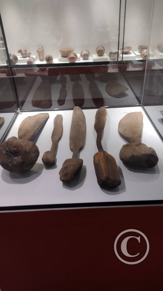 Museo Arqueológico Antonini (16)