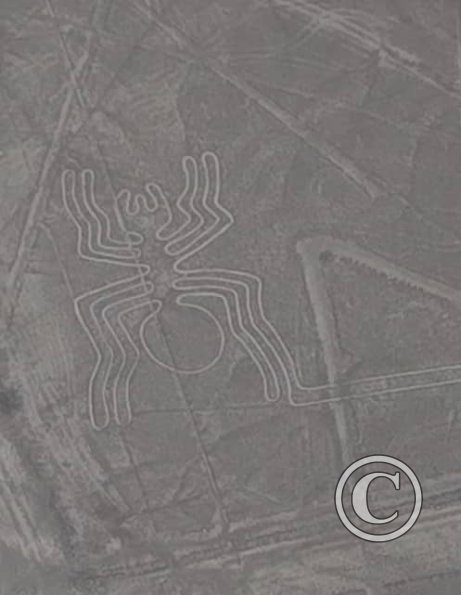 arana-nasca-lines