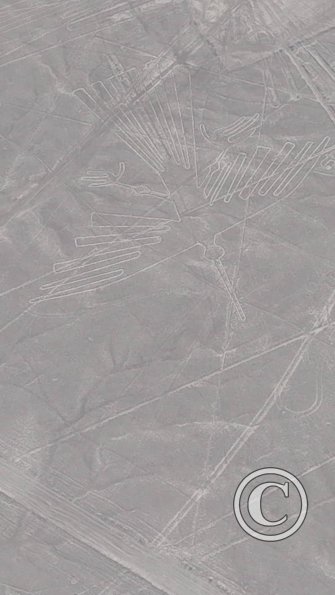 condor-nasca-lines