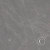 dog-nasca-lines