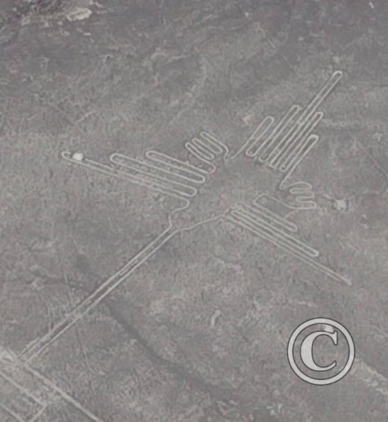 hummingbird-nasca-lines