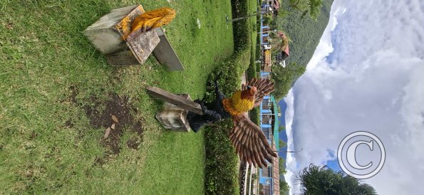 Parque de Chontabamba (2)