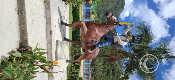 Parque de Chontabamba (5)