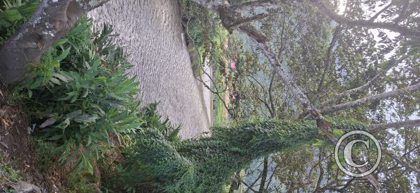 Quebrada La Esperanza confuence with Rio Chontabamba