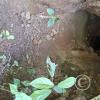 Una Cueva, a cave along the trail of Las Cuevas de Chonta (2)