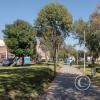 Av. Dolores y Av. Los Proceres
