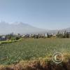 La Castro - dirt path through farmland in the city (2)