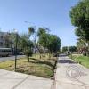 Paseo de la Cultura in Av. Andres Avelino Caceres (3)