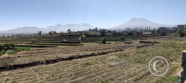 The Andenes (Terraces) archiological area still actively farmed (3)