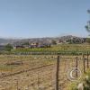 The Andenes (Terraces) archiological area still actively farmed (7)
